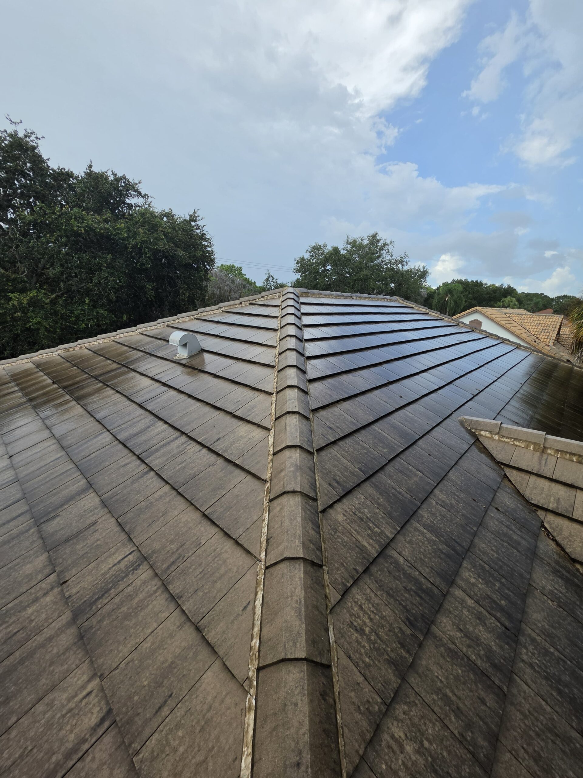 Before pressure washing project