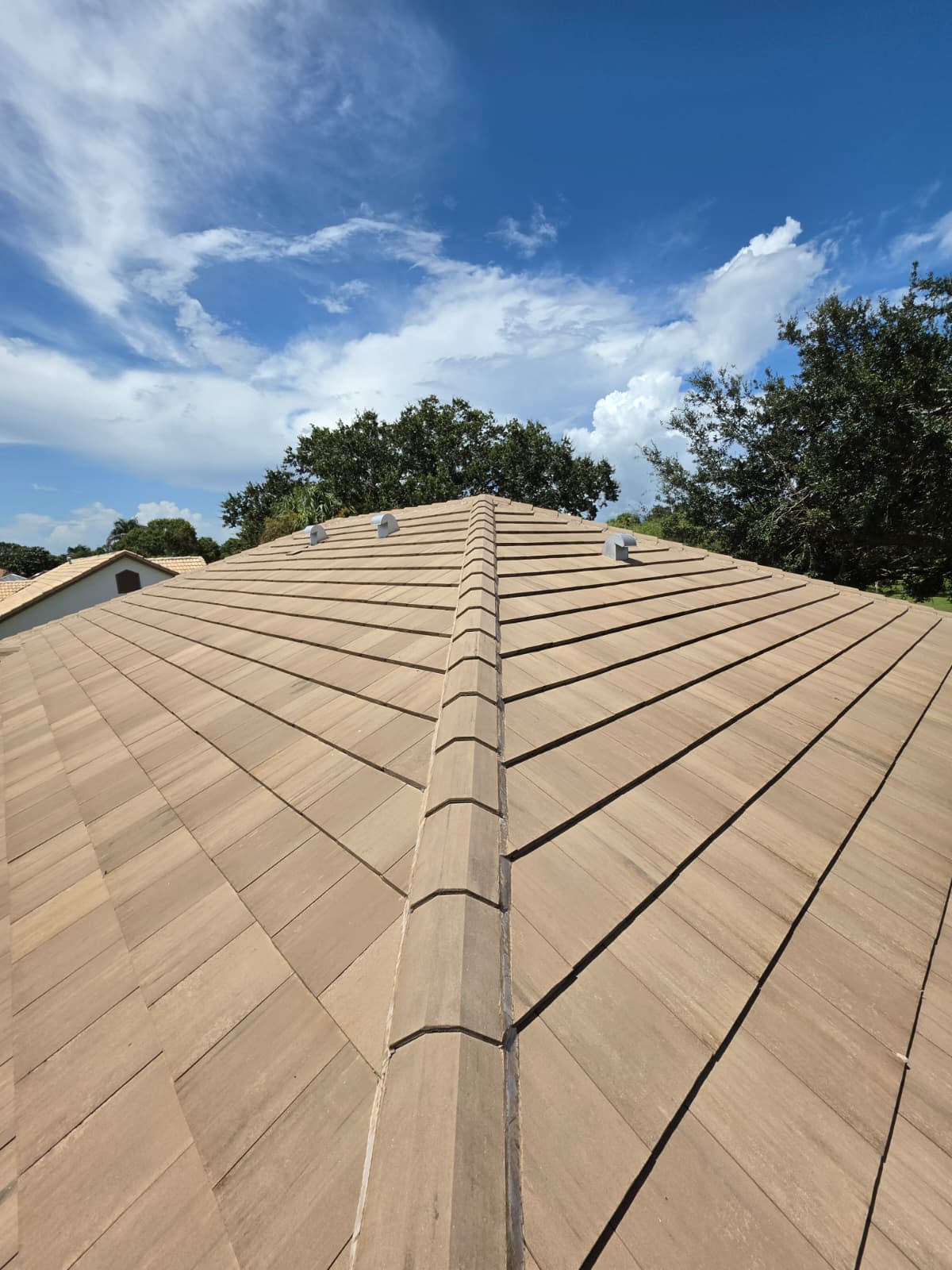 Professional roof washing